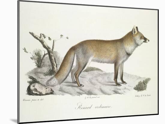 A Fox-Werner-Mounted Giclee Print