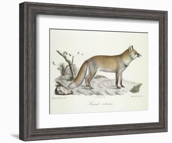 A Fox-Werner-Framed Giclee Print