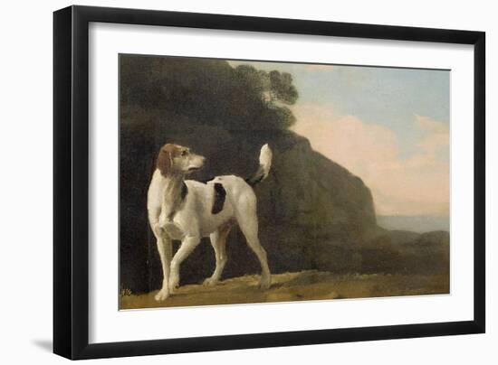 A Foxhound, C.1760 (Oil on Paper Laid on Board)-George Stubbs-Framed Giclee Print