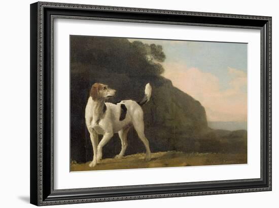 A Foxhound, C.1760 (Oil on Paper Laid on Board)-George Stubbs-Framed Giclee Print