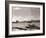 A Fraserburgh Herring Boat Returns to Port Escorted by a Squadron of Sea Gulls, 1935-null-Framed Photographic Print