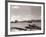 A Fraserburgh Herring Boat Returns to Port Escorted by a Squadron of Sea Gulls, 1935-null-Framed Photographic Print