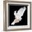 A Free Flying White Dove Isolated On A Black Background-Irochka-Framed Art Print