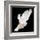 A Free Flying White Dove Isolated On A Black Background-Irochka-Framed Art Print