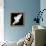 A Free Flying White Dove Isolated On A Black Background-Irochka-Framed Stretched Canvas displayed on a wall