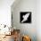 A Free Flying White Dove Isolated On A Black Background-Irochka-Framed Stretched Canvas displayed on a wall