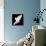 A Free Flying White Dove Isolated On A Black Background-Irochka-Premium Giclee Print displayed on a wall