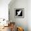 A Free Flying White Dove Isolated On A Black Background-Irochka-Framed Art Print displayed on a wall