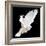 A Free Flying White Dove Isolated On A Black Background-Irochka-Framed Art Print