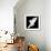 A Free Flying White Dove Isolated On A Black Background-Irochka-Framed Art Print displayed on a wall