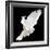 A Free Flying White Dove Isolated On A Black Background-Irochka-Framed Art Print