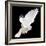 A Free Flying White Dove Isolated On A Black Background-Irochka-Framed Art Print