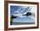 A French Armee De Terre Sa 380 Puma Helicopter Taking Off-null-Framed Photographic Print