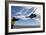 A French Armee De Terre Sa 380 Puma Helicopter Taking Off-null-Framed Photographic Print