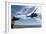 A French Armee De Terre Sa 380 Puma Helicopter Taking Off-null-Framed Photographic Print