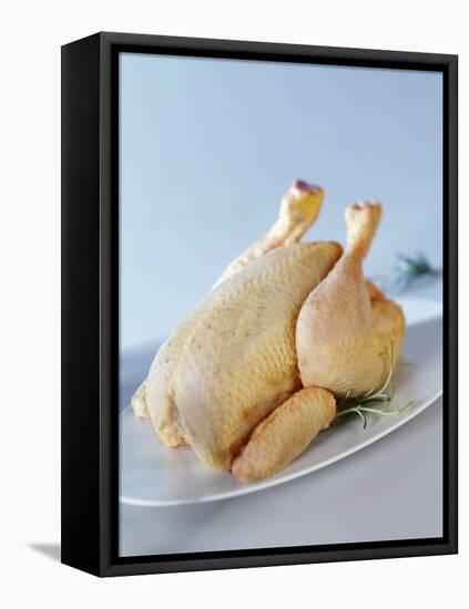 A Fresh Chicken-Ulrike Koeb-Framed Premier Image Canvas