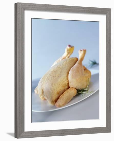 A Fresh Chicken-Ulrike Koeb-Framed Photographic Print