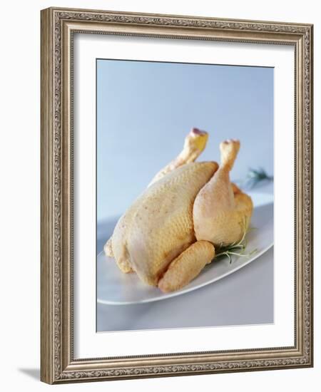 A Fresh Chicken-Ulrike Koeb-Framed Photographic Print