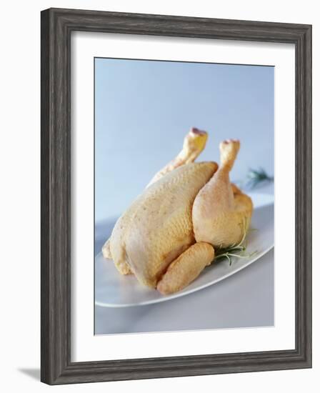 A Fresh Chicken-Ulrike Koeb-Framed Photographic Print