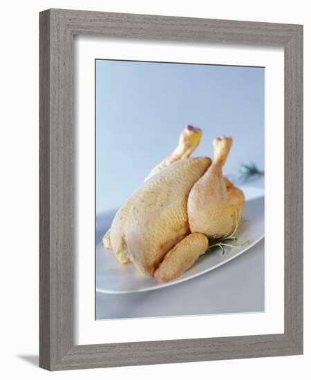 A Fresh Chicken-Ulrike Koeb-Framed Photographic Print