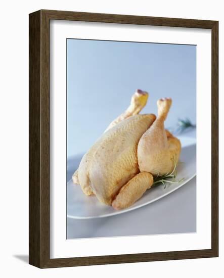 A Fresh Chicken-Ulrike Koeb-Framed Photographic Print