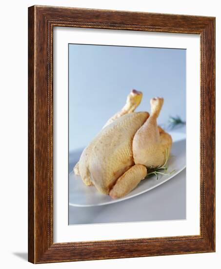 A Fresh Chicken-Ulrike Koeb-Framed Photographic Print