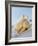 A Fresh Chicken-Ulrike Koeb-Framed Photographic Print