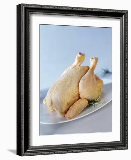 A Fresh Chicken-Ulrike Koeb-Framed Photographic Print