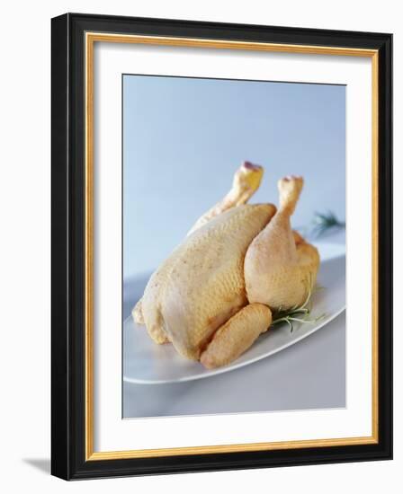 A Fresh Chicken-Ulrike Koeb-Framed Photographic Print