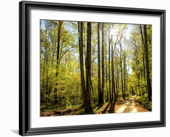 A Fresh New Morning-Danny Head-Framed Art Print