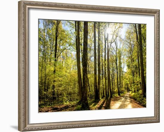 A Fresh New Morning-Danny Head-Framed Art Print