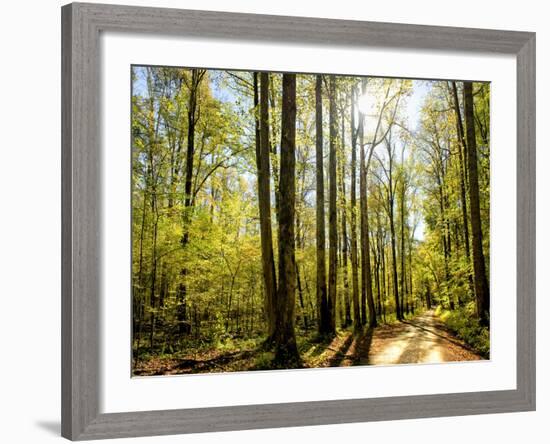 A Fresh New Morning-Danny Head-Framed Art Print