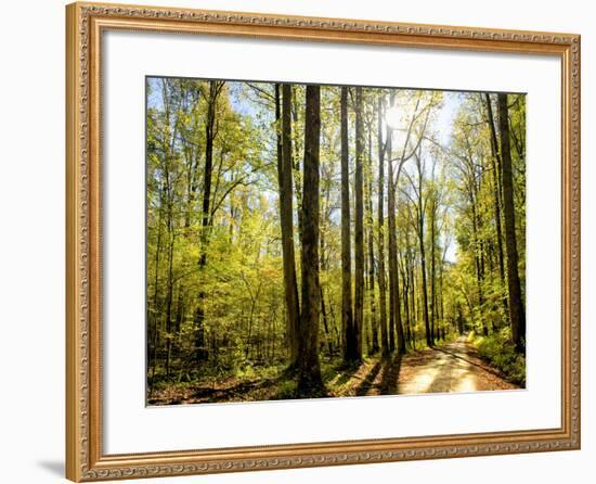 A Fresh New Morning-Danny Head-Framed Art Print