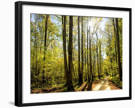 A Fresh New Morning-Danny Head-Framed Art Print