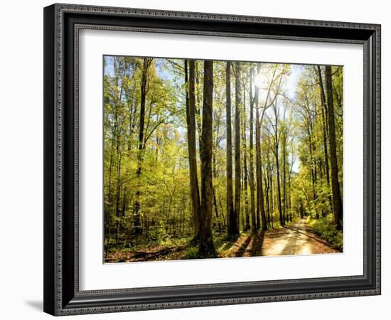 A Fresh New Morning-Danny Head-Framed Art Print