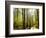 A Fresh New Morning-Danny Head-Framed Premium Giclee Print