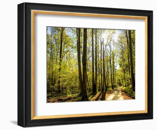 A Fresh New Morning-Danny Head-Framed Premium Giclee Print