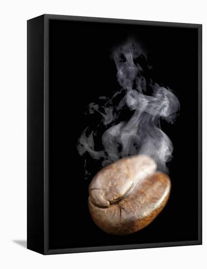 A Freshly Roasted Coffee Bean with Steam-Shawn Hempel-Framed Premier Image Canvas