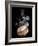 A Freshly Roasted Coffee Bean with Steam-Shawn Hempel-Framed Photographic Print