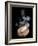 A Freshly Roasted Coffee Bean with Steam-Shawn Hempel-Framed Photographic Print