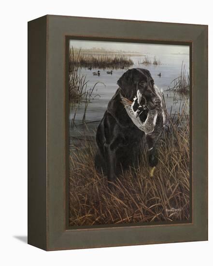 A Friend in the Marsh-Kevin Daniel-Framed Stretched Canvas