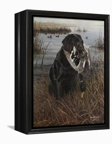 A Friend in the Marsh-Kevin Daniel-Framed Stretched Canvas