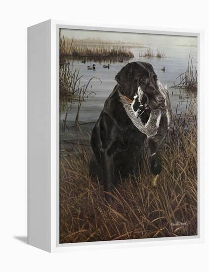 A Friend in the Marsh-Kevin Daniel-Framed Stretched Canvas