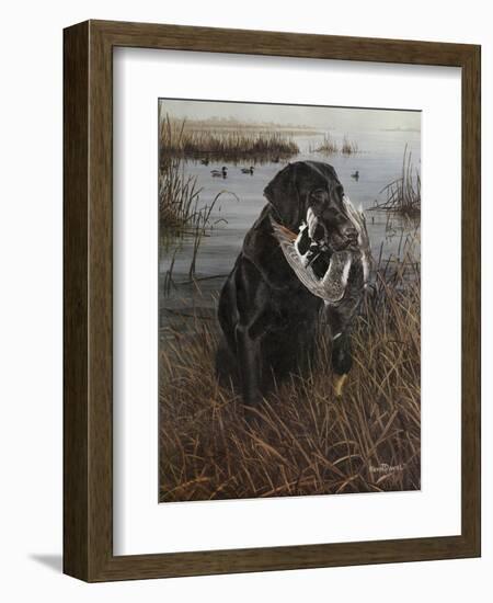 A Friend in the Marsh-Kevin Daniel-Framed Premium Giclee Print