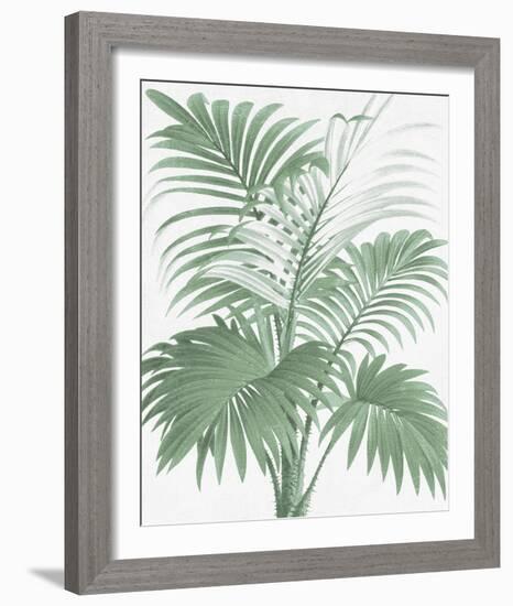 A Friendly Palm-The Vintage Collection-Framed Giclee Print