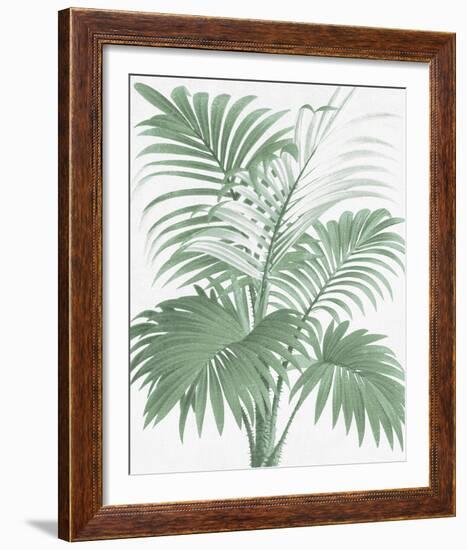 A Friendly Palm-The Vintage Collection-Framed Giclee Print