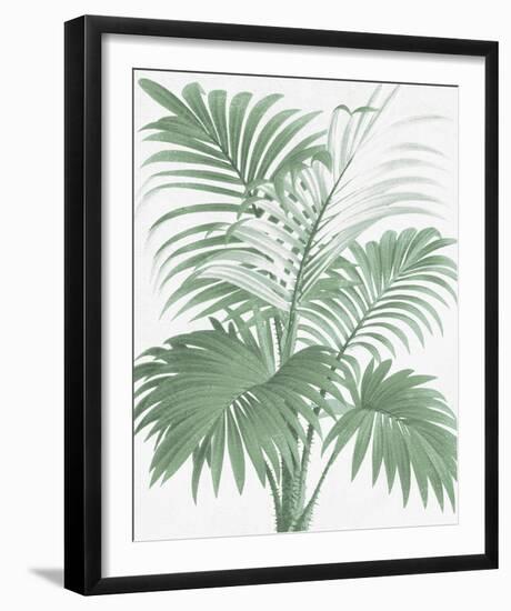 A Friendly Palm-The Vintage Collection-Framed Giclee Print