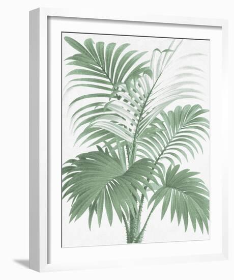 A Friendly Palm-The Vintage Collection-Framed Giclee Print