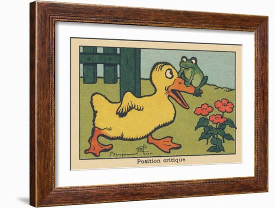 A Frog Balances on a Duck's Beak.” Critical Position” ,1936 (Illustration)-Benjamin Rabier-Framed Giclee Print