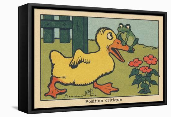 A Frog Balances on a Duck's Beak.” Critical Position” ,1936 (Illustration)-Benjamin Rabier-Framed Premier Image Canvas